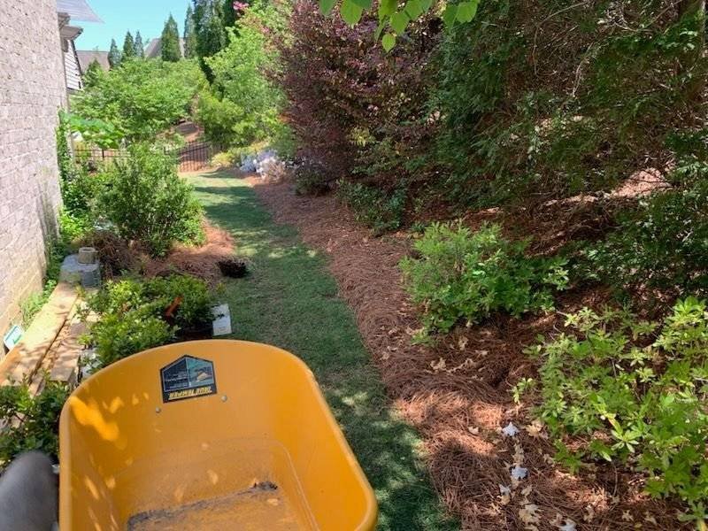 A yellow wheelbarrow beside freshly mulched garden beds running along the side of a house